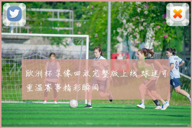 欧洲杯录像回放完整版上线 球迷可重温赛事精彩瞬间