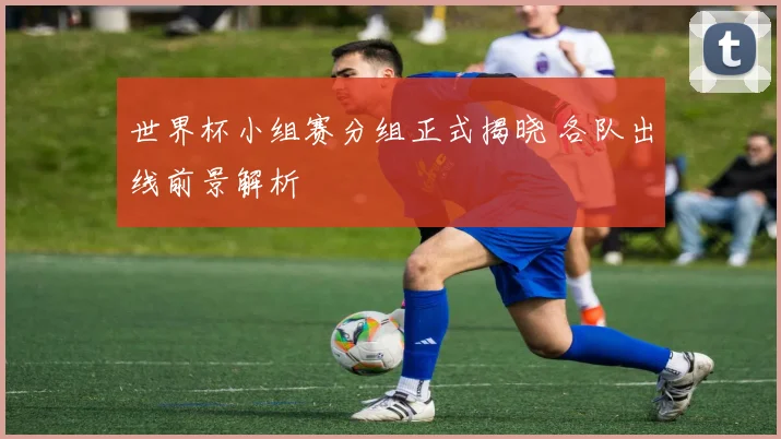世界杯小组赛分组正式揭晓 各队出线前景解析