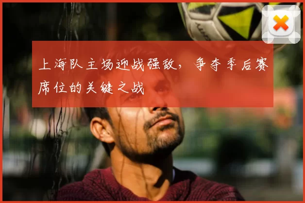 上海队主场迎战强敌，争夺季后赛席位的关键之战