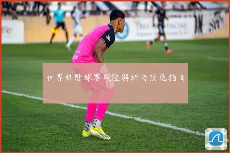 世界杯赌球赛风险解析与防范指南