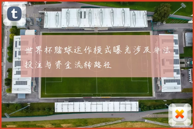 世界杯赌球运作模式曝光涉及非法投注与资金流转路径